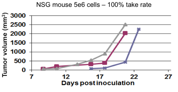 Can the SRG rat™ overcome limitations of mouse models? – Hera BioLabs